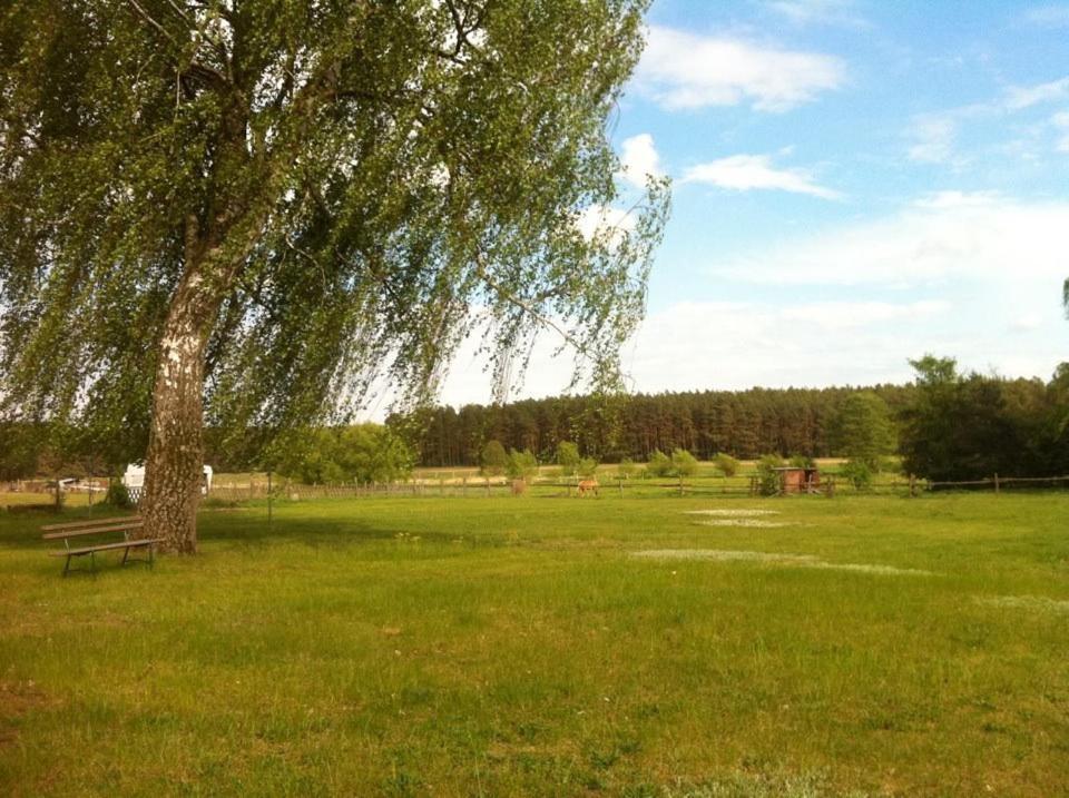 Landhotel Am Peetscher See Mirow Esterno foto