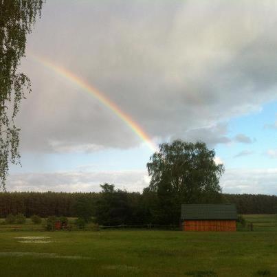 Landhotel Am Peetscher See Mirow Esterno foto